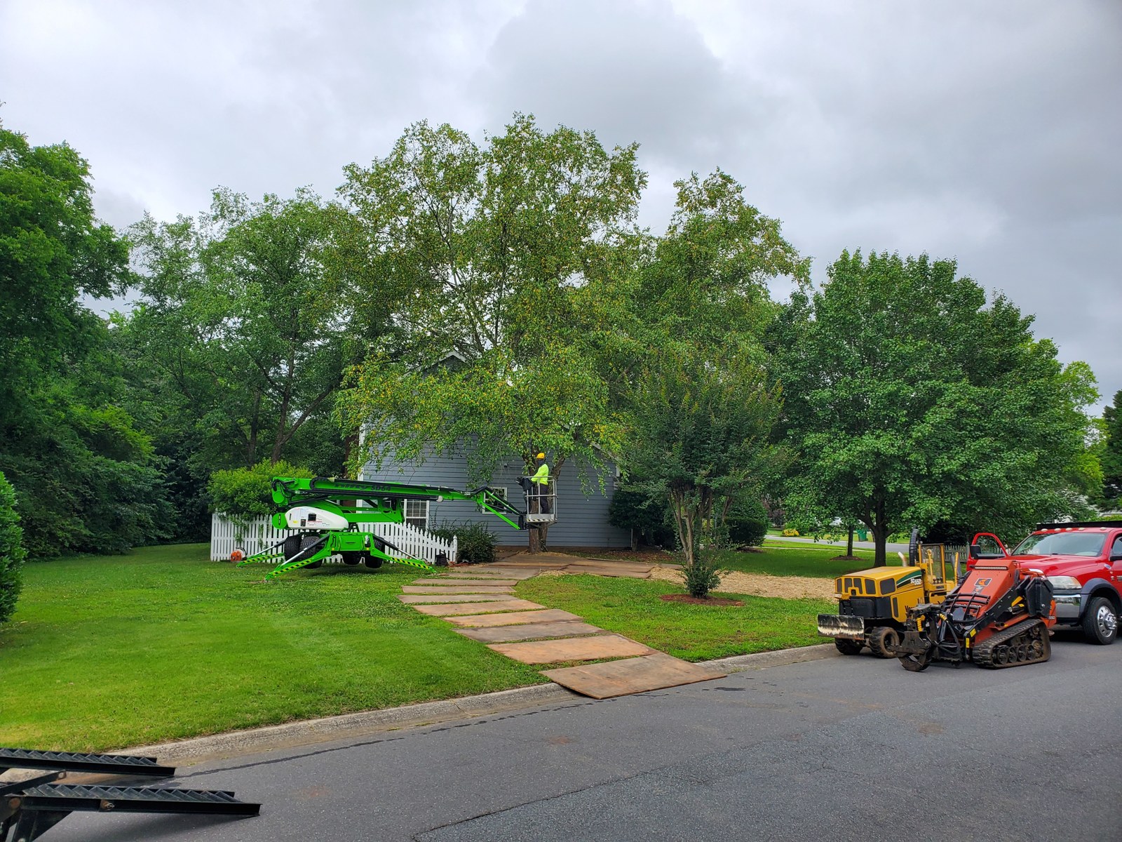 Stump Removal