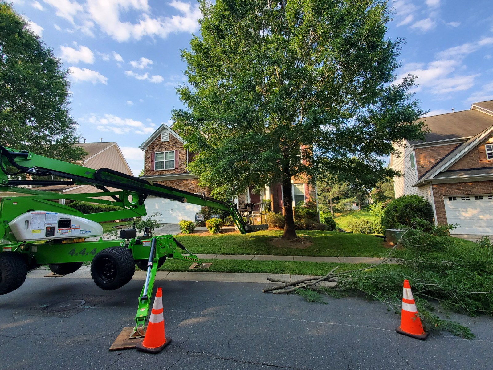 Tree Removal
